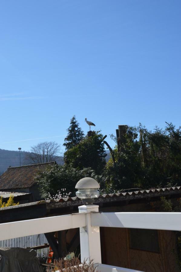 Gite Les Glycines 68230 Turckheim Εξωτερικό φωτογραφία